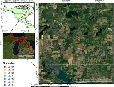 Water loss through evapotranspiration after precipitation events in <mark class="highlighted">bioenergy crops</mark> grown in similar climatic conditions